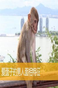 爱面子的男人面相特征