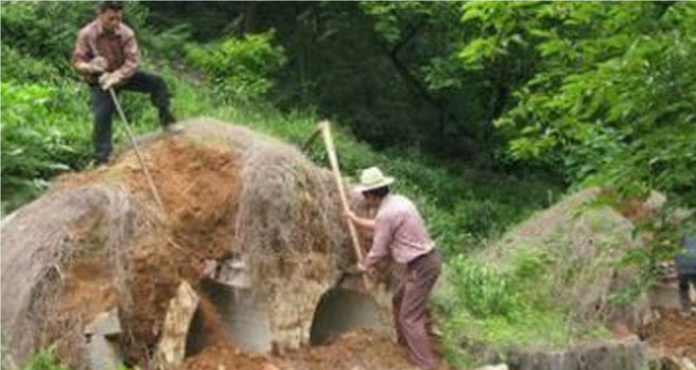 梦见去挖坟